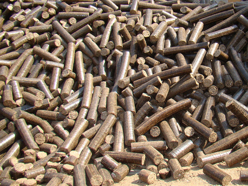 Biomass Image 1