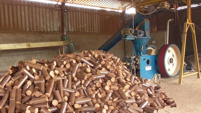 Biomass Image 2